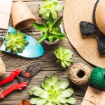 Accesorii inspirate de natură în moda urbană