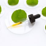 Produsele coreene cu centella asiatica: soluția pentru piele sensibilă