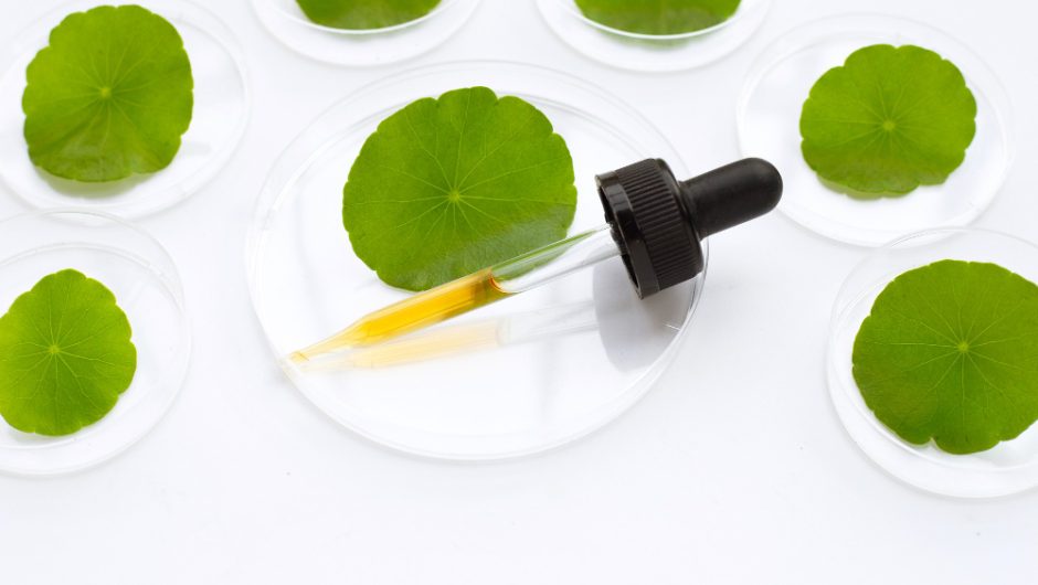 Produsele coreene cu centella asiatica: soluția pentru piele sensibilă